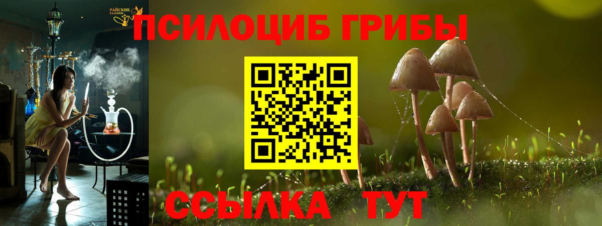 Галлюциногенные грибы прущие грибы  Галлюциногенные грибы Magic Shrooms  Заводоуковск  Вход с VPN 
