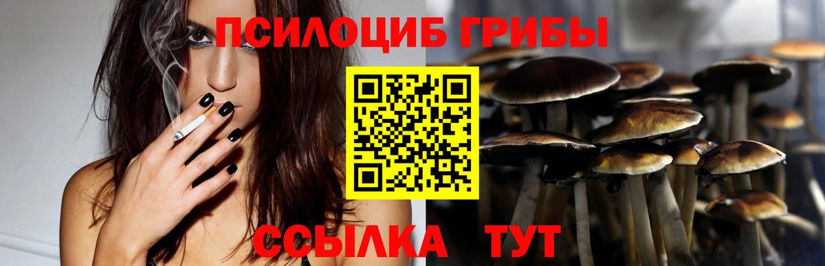 Галлюциногенные грибы Psilocybine cubensis Заводоуковск